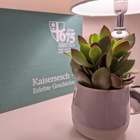 Ferienwohnung Am Waldweg Kaisersesch Exteriér fotografie