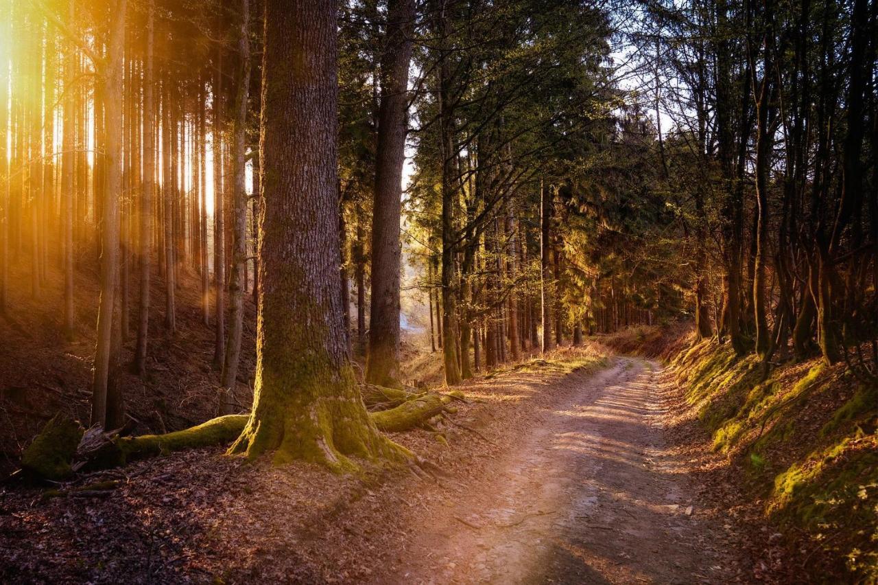 Ferienwohnung Am Waldweg Kaisersesch Exteriér fotografie